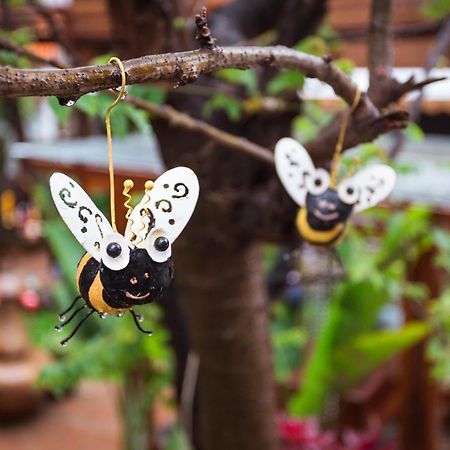 Pao Come Boutique House (Adults Only) Chiang Mai Zewnętrze zdjęcie